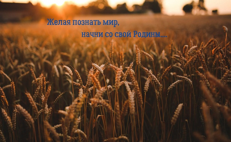 f5033889c86151ca7c19a4d5e5fc8b9a